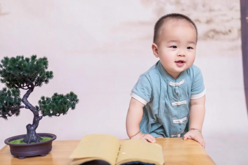 西安可爱的企鹅宝宝